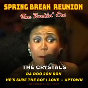 Spring Break Reunion: The Rockin' Era'-Live cover image