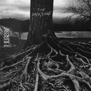 The Dark Shore cover image