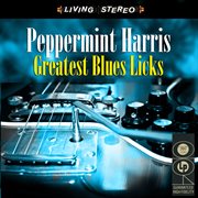 Greatest Blues Licks cover image