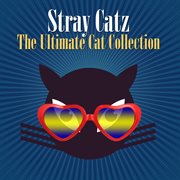 Stray Catz cover image