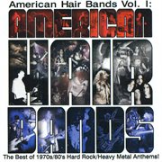 American Hair Bands Vol 1 cover image