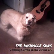 Catching Carrots On The Clouds cover image