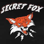 Secret Fox cover image