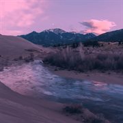 Free Scenario cover image