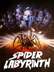 Spider labyrinth cover image