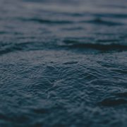 Serene Melodies cover image