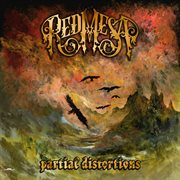 Partial Distortions cover image