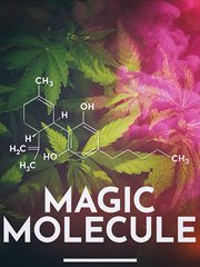 Magic Molecule cover image