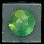 Mosaics Within Mosaics cover image