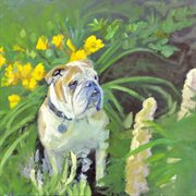 Suneaters Iii: Unfathomable Darkness cover image