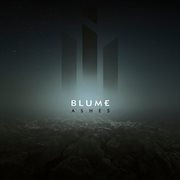 Ashes cover image