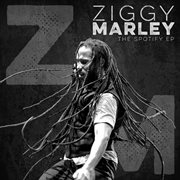 The Spotify Ep cover image