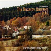 Panoply Damico & Wayne cover image