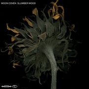 Slumber Wood cover image