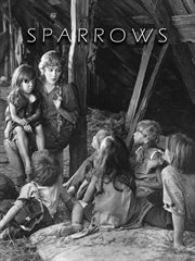 Sparrows cover image