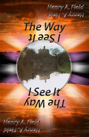 The way i see it cover image