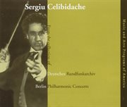 Orchestral Music : Beethoven / Brahms / Strauss, R. / Dvorak / Britten / Prokofiev / Haydn / Berl cover image