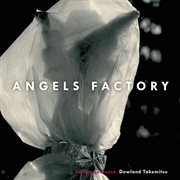 Angels factory cover image