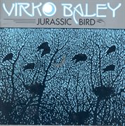 Baley, V. : Partita No. 1 / Sculptured Birds / Nocturnals Nos. 5 And 6 cover image