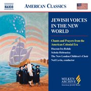 Jewish Voices In The New World cover image
