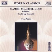 Fong Naam, Vol. 3 : The String Ensemble cover image