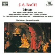 Bach : Motets, Bwv 225-230 cover image
