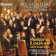 Musique Au Louvre Sous Le Second Empire cover image