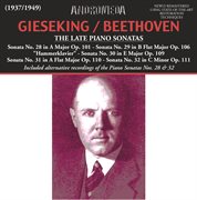 The late piano sonatas cover image