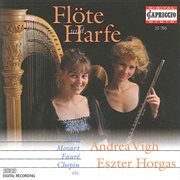 Flute And Harp cover image