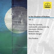 In The Shadow Of Brahms, Vol. 2 cover image