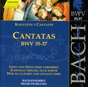Cantatas BWV 35-37 cover image