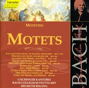 Bach : Motets cover image