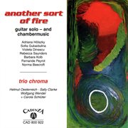 Another Sort Of Fire cover image