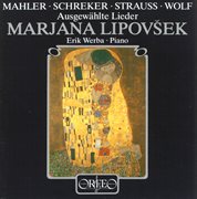 Mahle, Schreker, Strauss & Wolf : Lieder cover image
