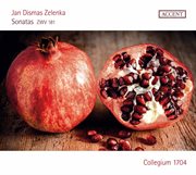 Zelenka : 6 Sonatas, Zwv 181 cover image