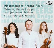 Masterpieces Among Peers cover image