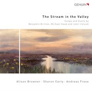The Stream In The Valley cover image