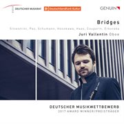 Bridges cover image