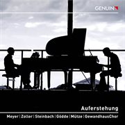 Auferstehung cover image
