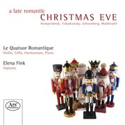 A late romantic Christmas eve cover image