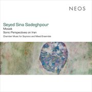 Seyed Sina Sadeghpour : Mosaik cover image