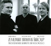 Zemlinksy, Brahms & Škroup : Trios Piano, Clarinet & Cello cover image