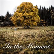 In The Moment cover image