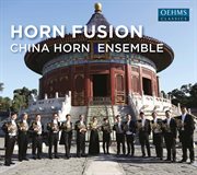 Horn Fusion cover image