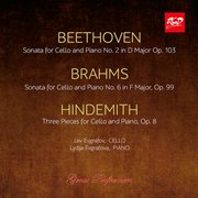 Lev Evgrafov And Lydija Evgrafova Play Beethoven, Brahms And Hindemith cover image