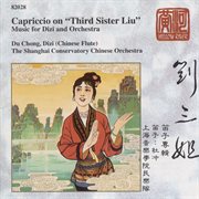 Du Chong : Sister Liu -Dizi cover image