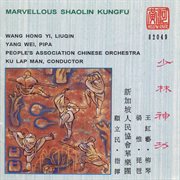 Wang, H. : Marvelous Shaolin Kung Fu cover image