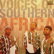 Insingizi : Voices Of Southern Africa cover image