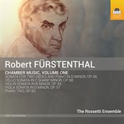 Fürstenthal : Chamber Music, Vol. 1 cover image