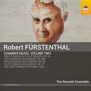 Fürstenthal : Complete Chamber Music, Vol. 2 cover image